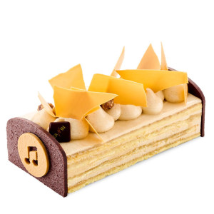 Bûche Traditionnelle Praliné